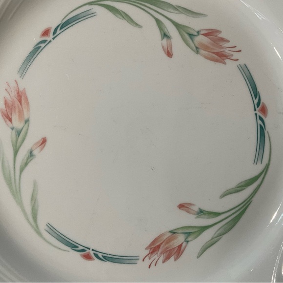 Corelle Spring Breeze Dinner Plates - Picture 10 of 10